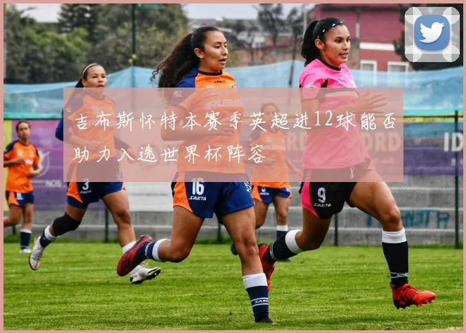 吉布斯怀特本赛季英超进12球能否助力入选世界杯阵容
