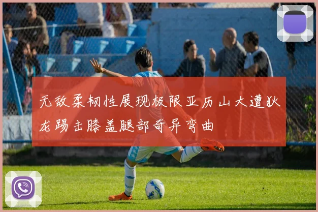 无敌柔韧性展现极限亚历山大遭狄龙踢击膝盖腿部奇异弯曲