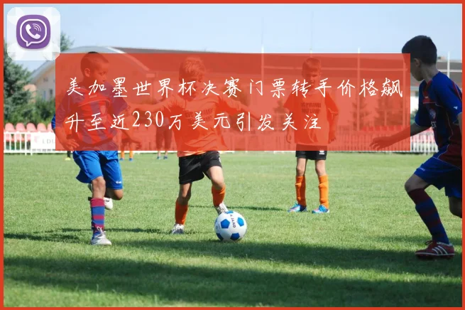 美加墨世界杯决赛门票转手价格飙升至近230万美元引发关注